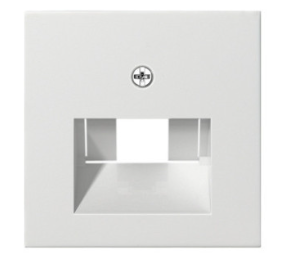 Gira System Abdeckung UAE/IAE + Netzwerk Reinweiß seidenmatt 027027