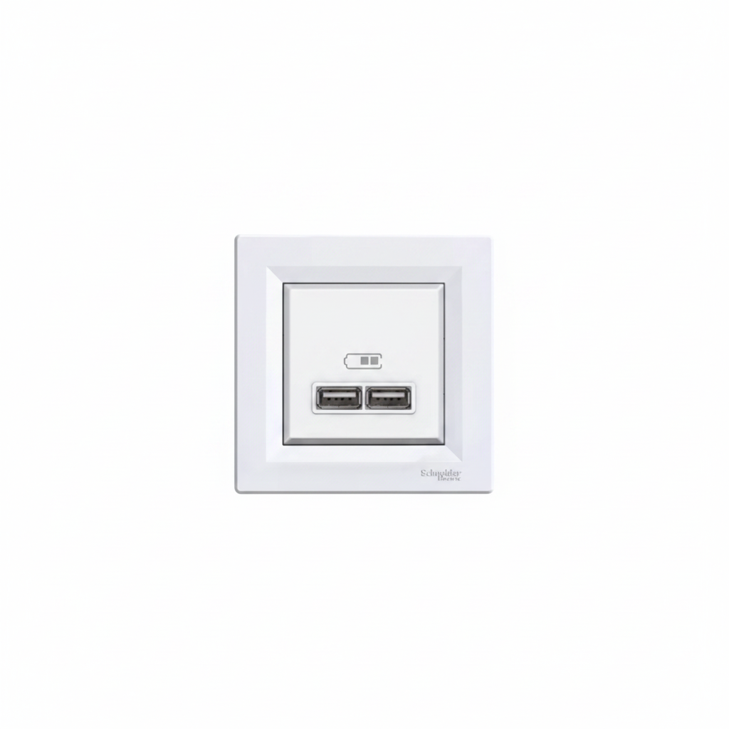 Schneider Electric ASFORA USB mit Rahmen