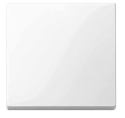 Merten Sytem M Wippe universal Polarweiß (RAL 9010) 432119