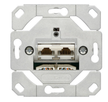 Gira System 55 Netzwerk Cat6A 2-fach Einsatz 245200